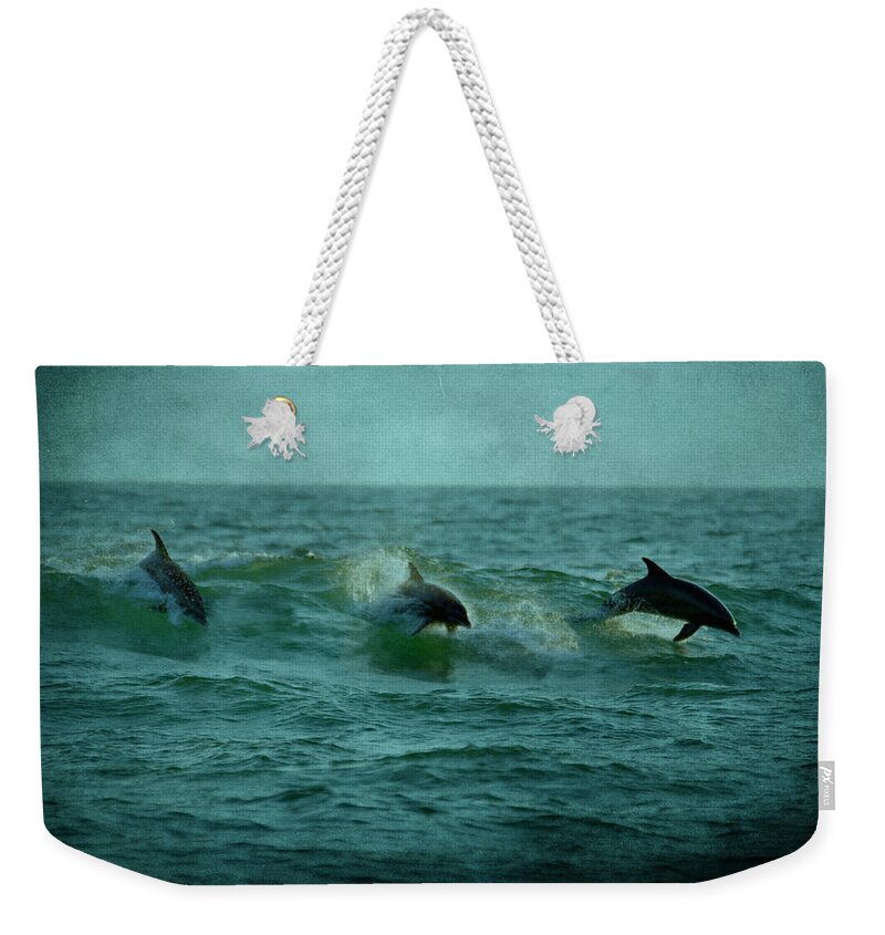 Dolphins Weekender Tote Bag featuring the photograph Dolphins by Sandy Keeton