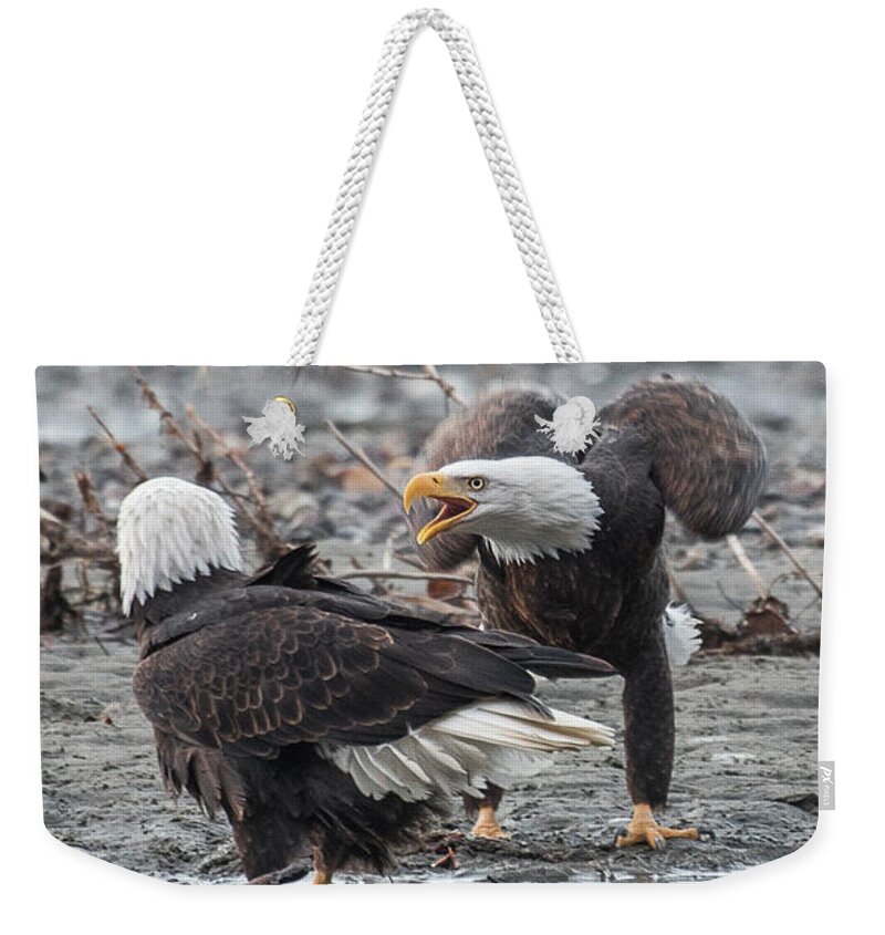 Bald Eagle Weekender Tote Bag featuring the photograph Domestic Dispute by David Kirby