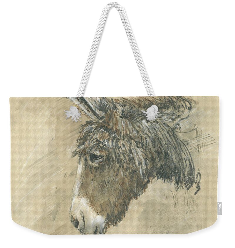 Donkey Art Weekender Tote Bag featuring the painting Donkey Portrait by Juan Bosco
