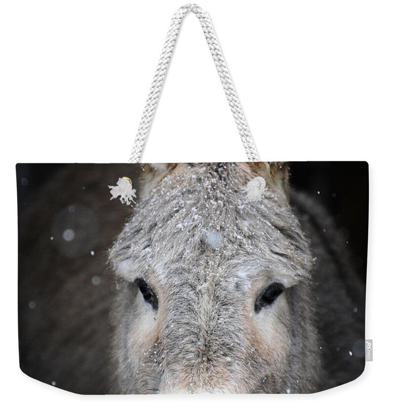 Donkeys Weekender Tote Bag featuring the photograph Donkeys #942 by Carien Schippers