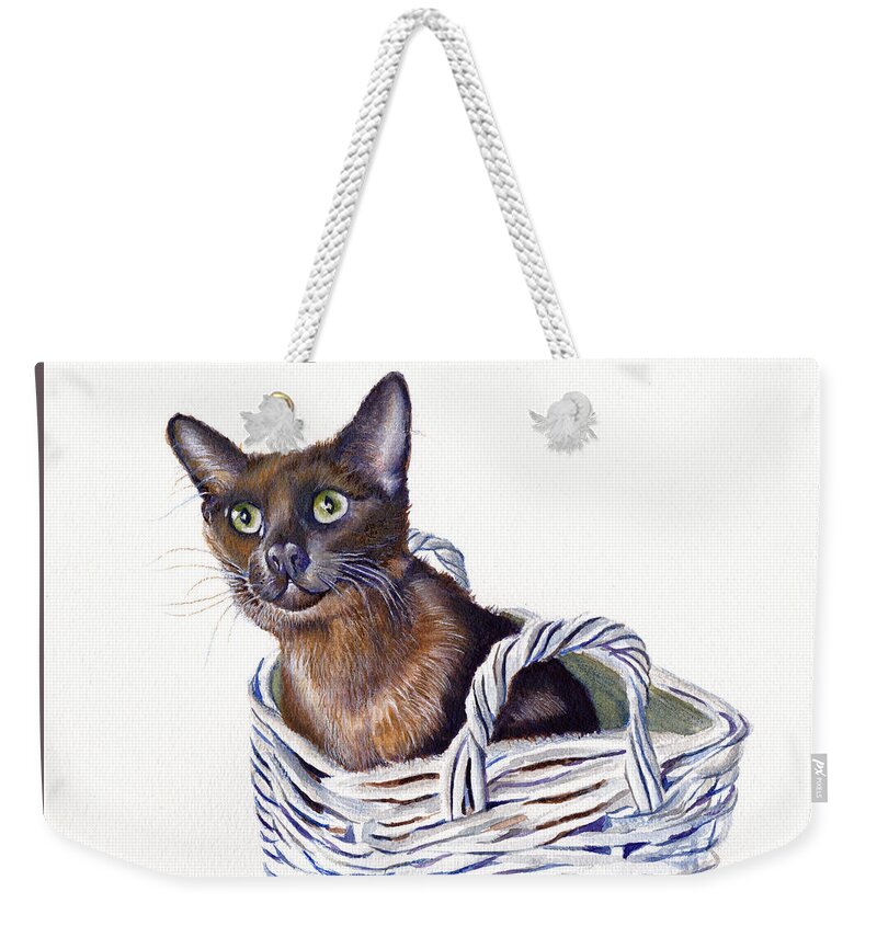Cats Weekender Tote Bag featuring the painting Don't forget ME by Debra Hall