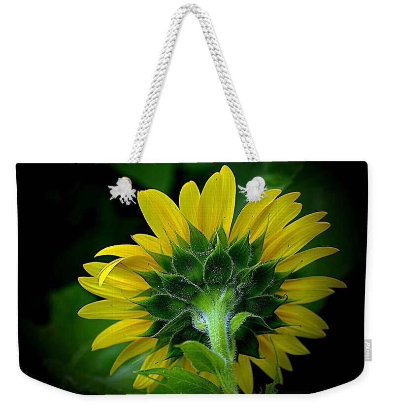 Yellow Flower Weekender Tote Bag featuring the photograph Don't Turn Away by Karen McKenzie McAdoo