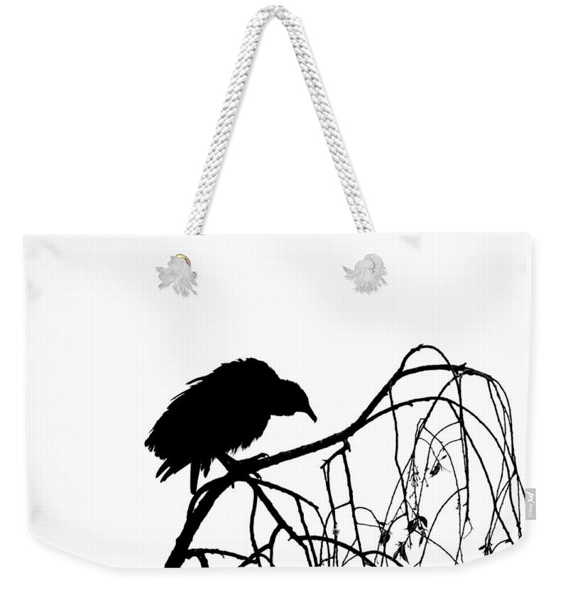 Doom Weekender Tote Bag featuring the photograph Doom by Dark Whimsy