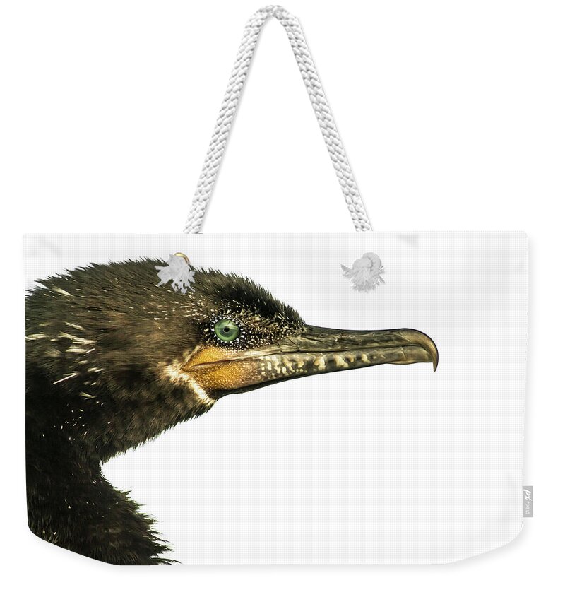 Nature Weekender Tote Bag featuring the photograph Double-crested Cormorant by Robert Frederick