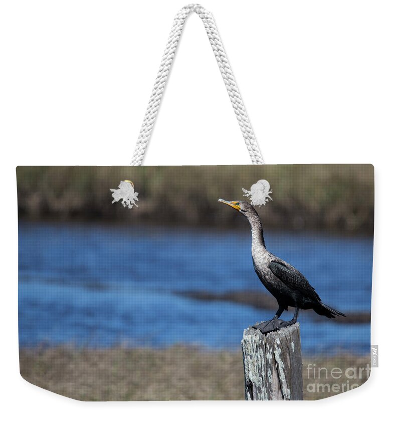 Double-crested Cormorant Weekender Tote Bag featuring the photograph Double-Crested Cormorant by Twenty Two North Photography