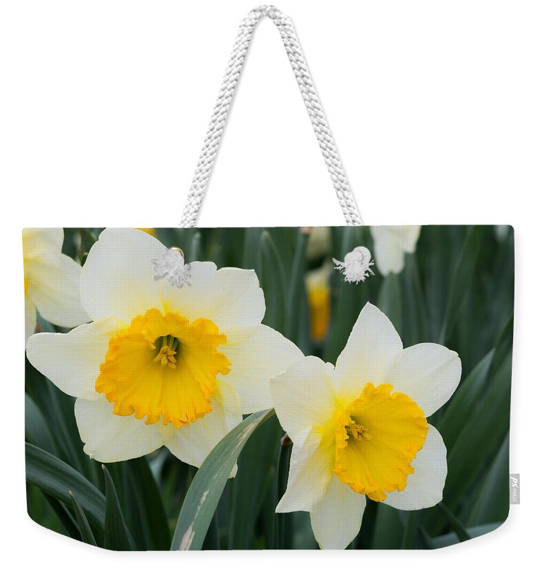 Daffodils Weekender Tote Bag featuring the photograph Double Daffodils by Holden The Moment
