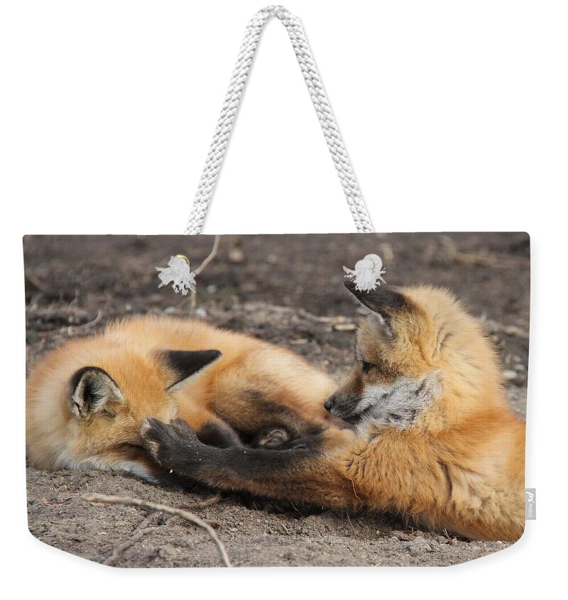 Red Fox Weekender Tote Bag featuring the photograph Double Faux Pas by Doris Potter