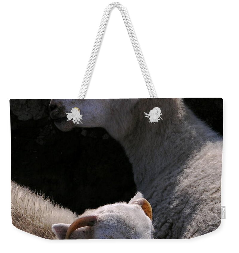 Sheep Weekender Tote Bag featuring the photograph Double Portrait by Harry Robertson