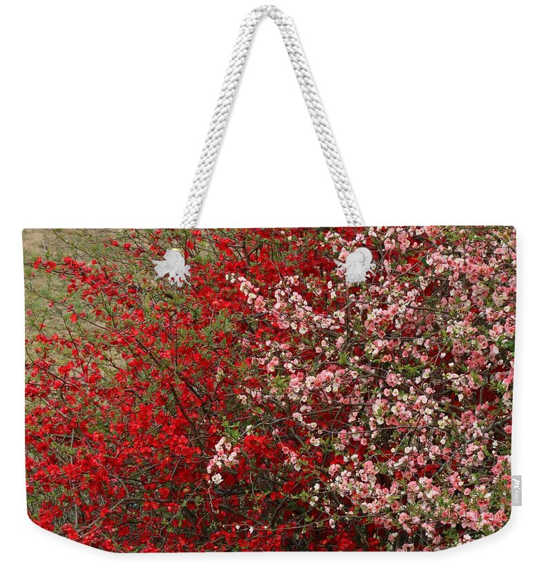 Quince Weekender Tote Bag featuring the photograph Double Quince by Kathryn Meyer