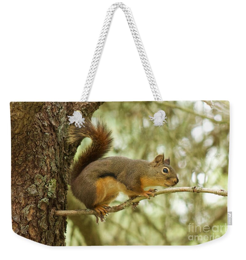 Photography Weekender Tote Bag featuring the photograph Douglas Squirrel by Sean Griffin