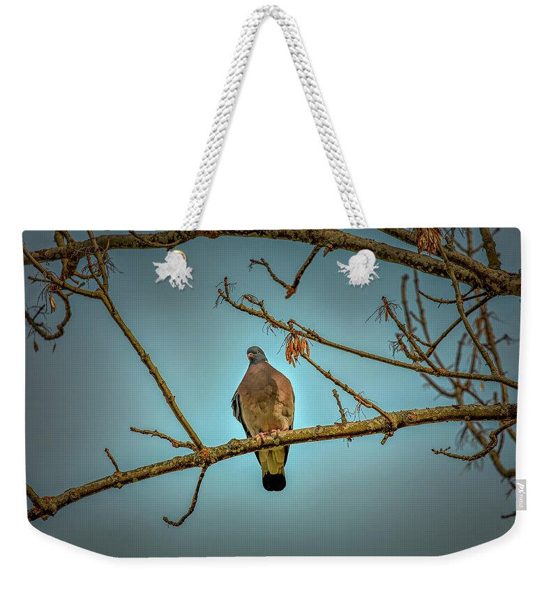 Dove Weekender Tote Bag featuring the photograph Dove #g2 by Leif Sohlman