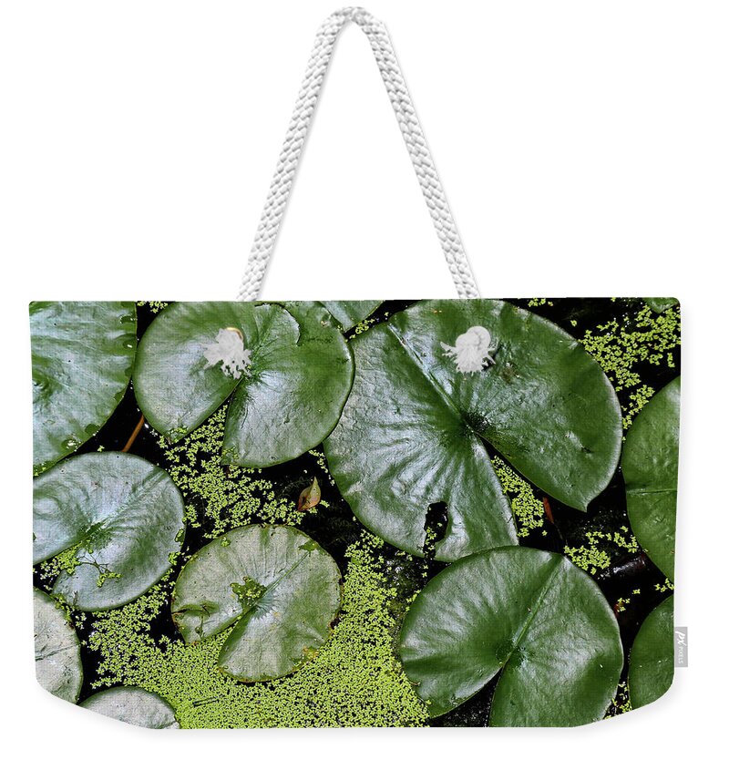 Forest Weekender Tote Bag featuring the photograph Dow Gardens Lily Pads 4 by Mary Bedy