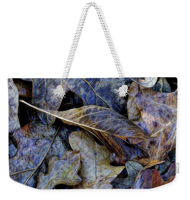 Leaves Weekender Tote Bag featuring the photograph Down and Out by Bill Morgenstern