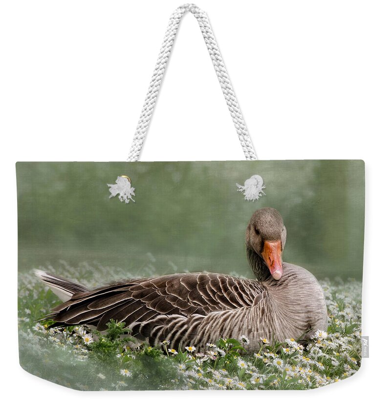Good Weekender Tote Bag featuring the photograph Down With The Daisies 2 by Linsey Williams