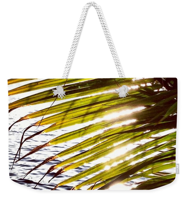 Palm Weekender Tote Bag featuring the photograph Downtown by Denise Railey