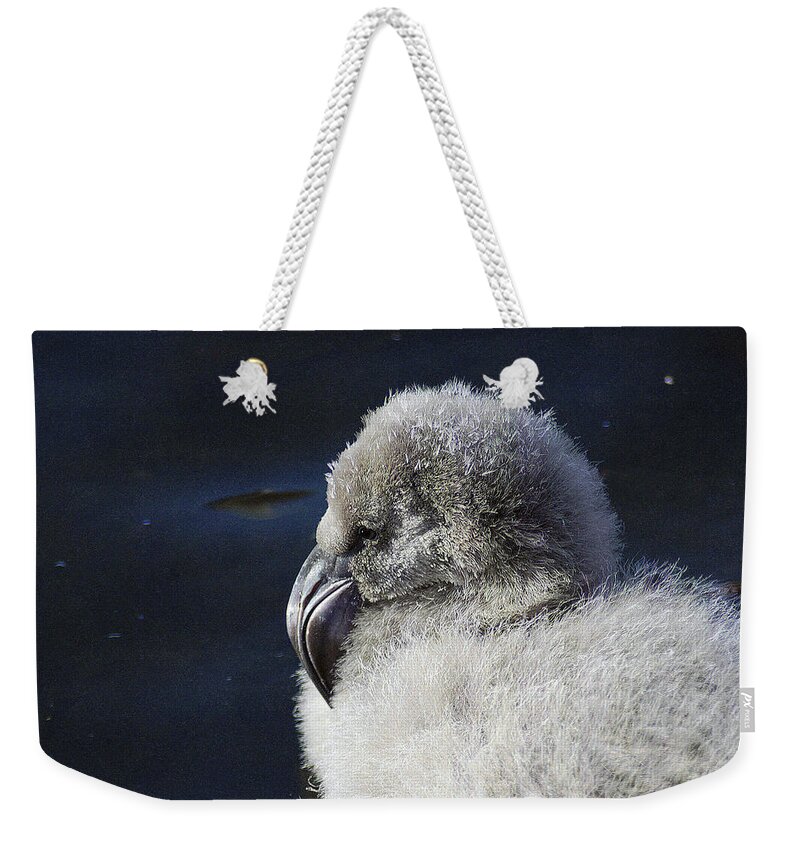 Memphis Weekender Tote Bag featuring the photograph Downy - Baby Flamingo by DArcy Evans