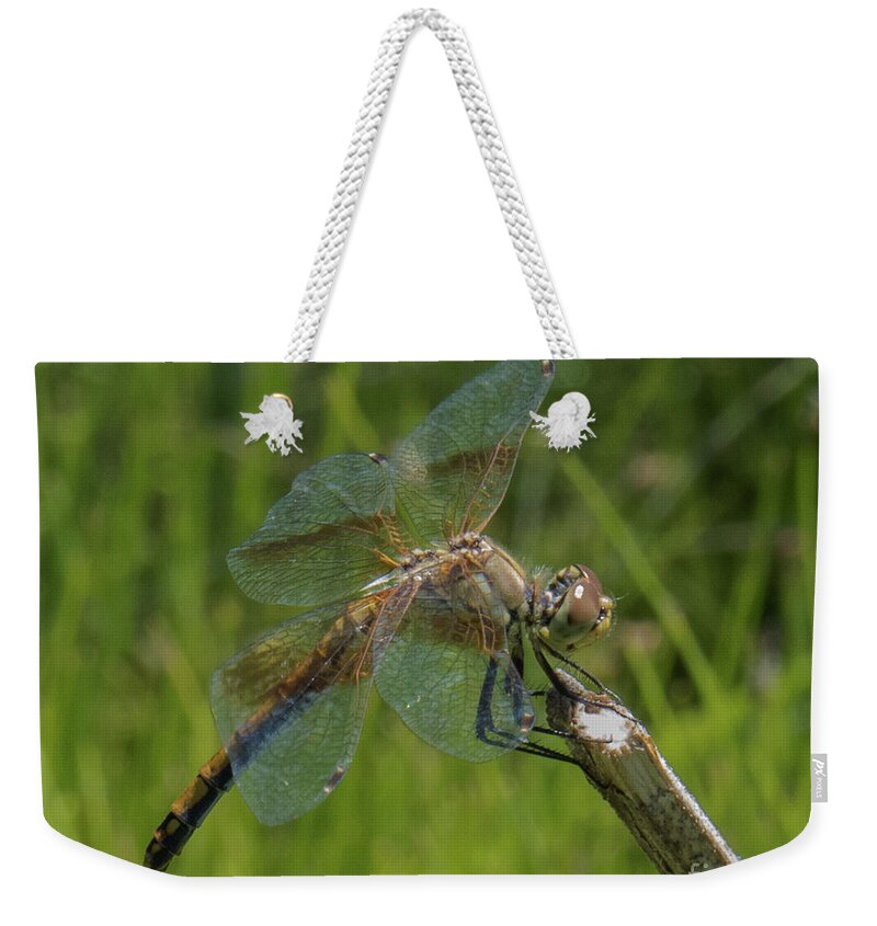 Dragonfly Weekender Tote Bag featuring the photograph Dragonfly 8 by Christy Garavetto