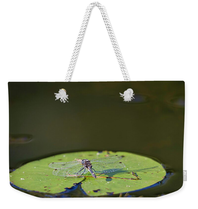 Dragonfly Weekender Tote Bag featuring the photograph Dragonfly by Benjamin Dahl