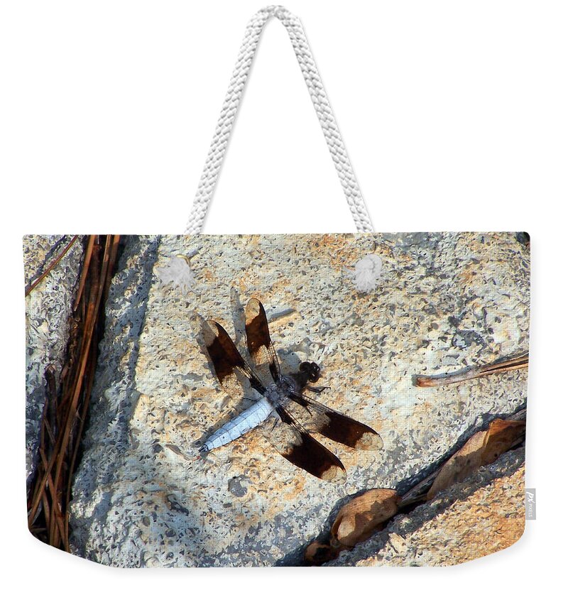 Insects Weekender Tote Bag featuring the photograph Dragonfly Display by Jennifer Robin