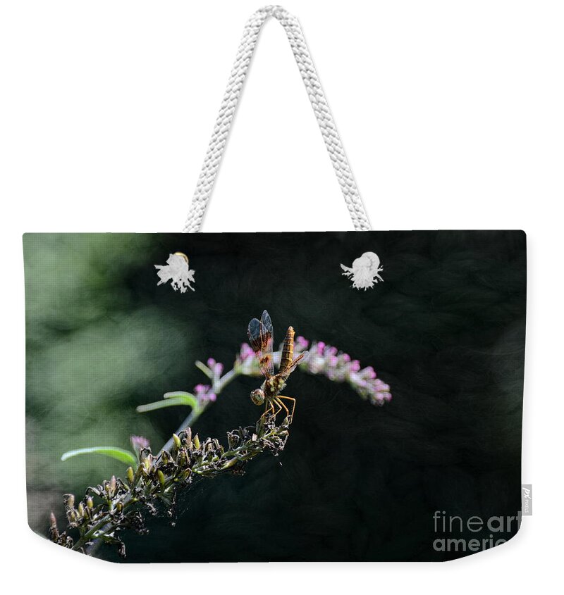 America Weekender Tote Bag featuring the photograph Dragonfly II by Robyn King