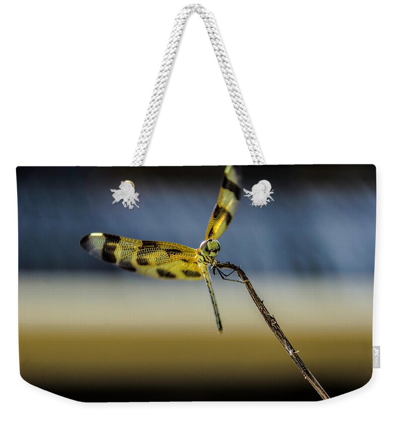 Dragonfly Weekender Tote Bag featuring the photograph Dragonfly in the wind by Wolfgang Stocker