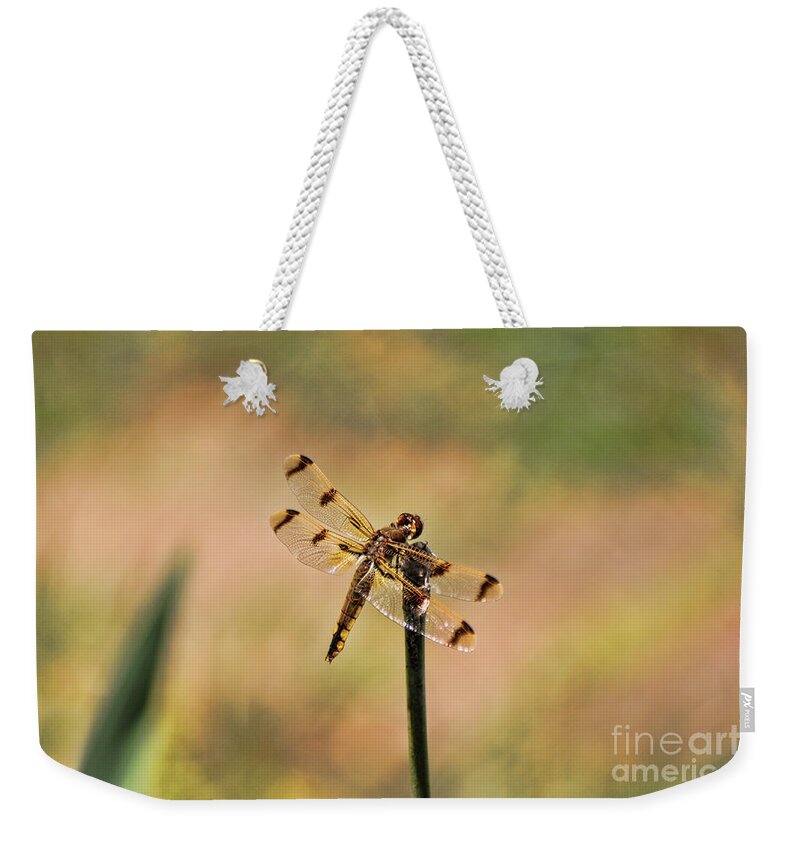 Dragonfly Weekender Tote Bag featuring the photograph Dragonfly by Jeff Breiman
