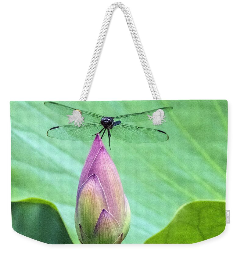 Dragonfly Weekender Tote Bag featuring the photograph Dragonfly Landing on Lotus by William Bitman