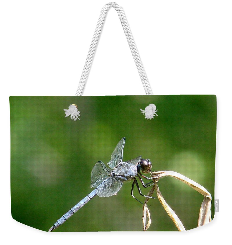 Nature Weekender Tote Bag featuring the photograph Dragonfly by Mary Halpin