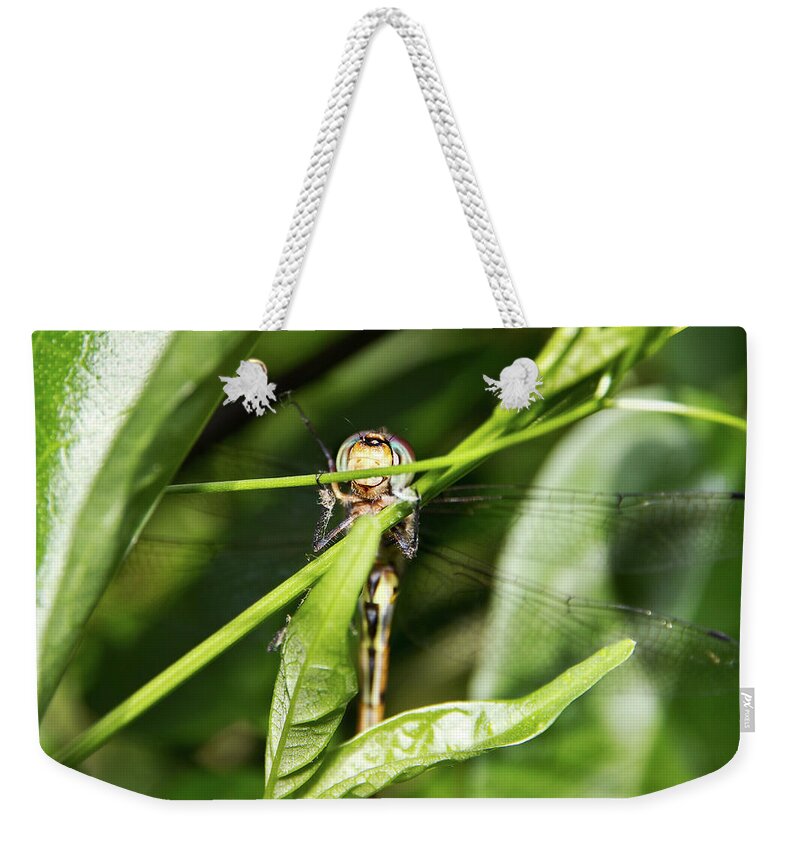 Tiger Weekender Tote Bag featuring the photograph Dragonfly Smiles by Miroslava Jurcik