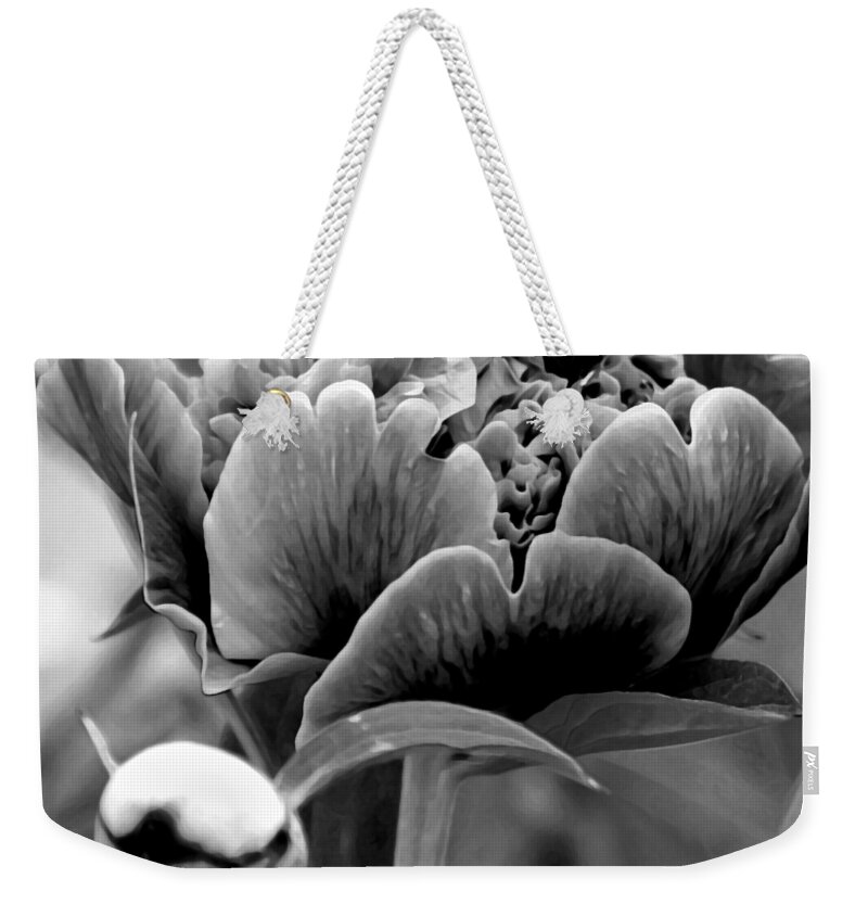 Peony Weekender Tote Bag featuring the photograph Drama In The Garden by Angelina Tamez