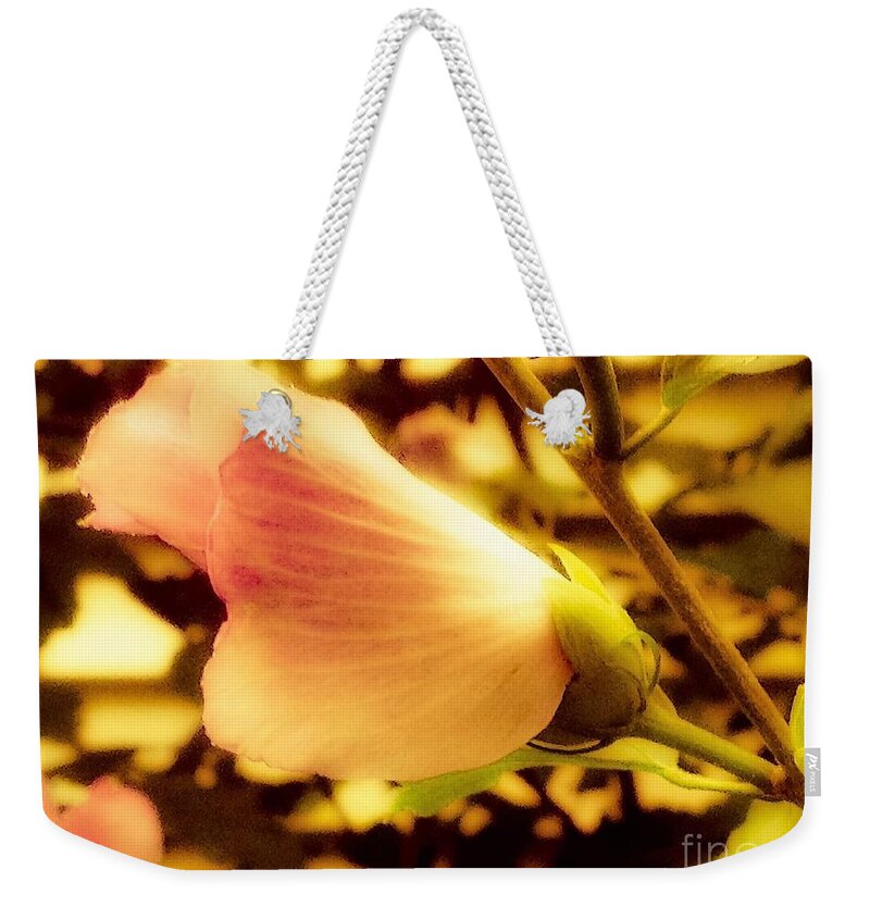 Floral Weekender Tote Bag featuring the photograph Dream Time by Debra Lynch