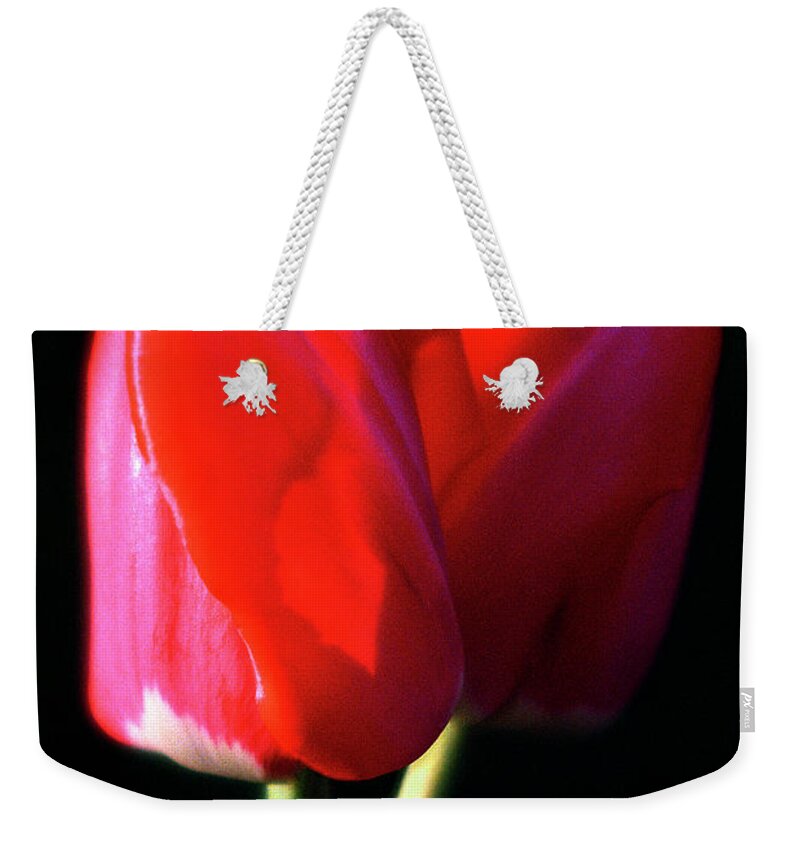 Jigsaw Puzzle Weekender Tote Bag featuring the photograph Dreaming of You by Carole Gordon