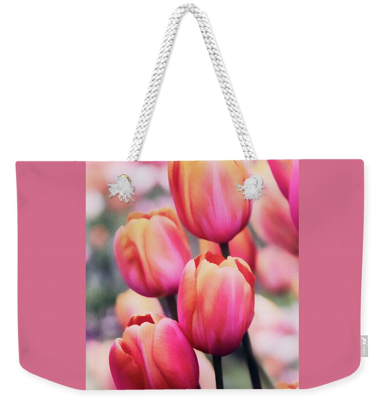 Tulips Weekender Tote Bag featuring the photograph Dreaming Tulips by Jessica Jenney