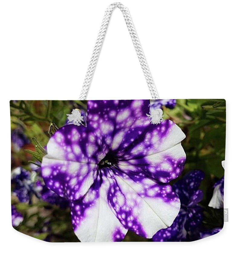 Flower Weekender Tote Bag featuring the photograph Star Kissed Bloom by Rowena Tutty