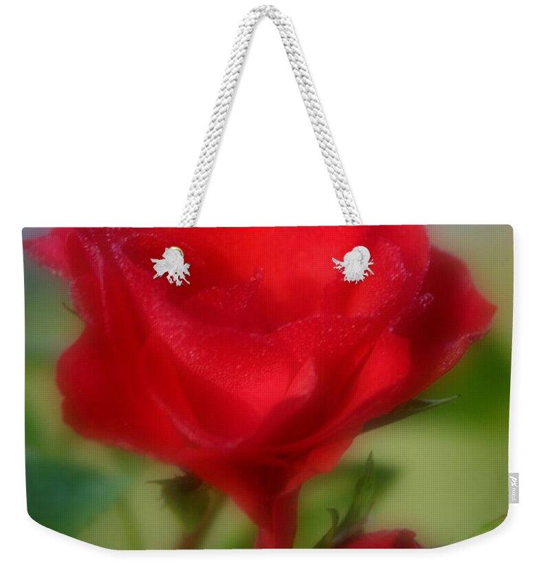 Rose Weekender Tote Bag featuring the photograph Dreamy and Dewy by Kristin Elmquist