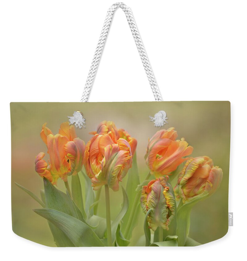 Abstract Weekender Tote Bag featuring the photograph Dreamy Parrot Tulips by Ann Bridges