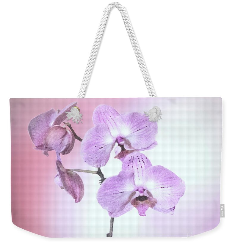 Flowers Weekender Tote Bag featuring the photograph Dreamy Pink Orchid by Linda Phelps