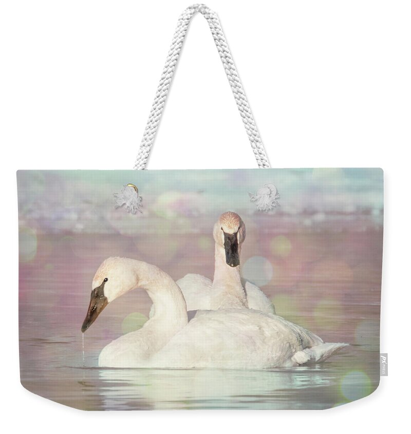 Swan Weekender Tote Bag featuring the photograph Dreamy Swans #1 by Patti Deters