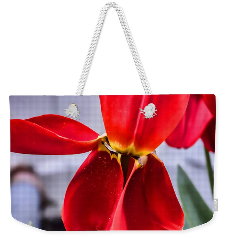 Pollen Weekender Tote Bag featuring the photograph Drenched in Pollen Tulip by Roberta Byram