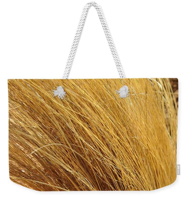 Landscape Weekender Tote Bag featuring the photograph Dried Grass by Ron Cline