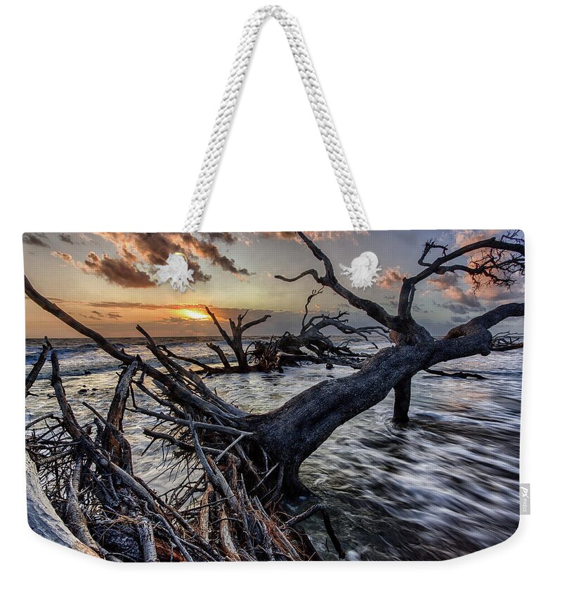 Landscape Weekender Tote Bag featuring the photograph Driftwood Beach 5 by Dillon Kalkhurst