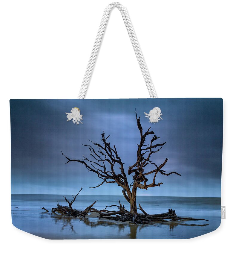 Driftwood Weekender Tote Bag featuring the photograph Driftwood Tree by Fran Gallogly