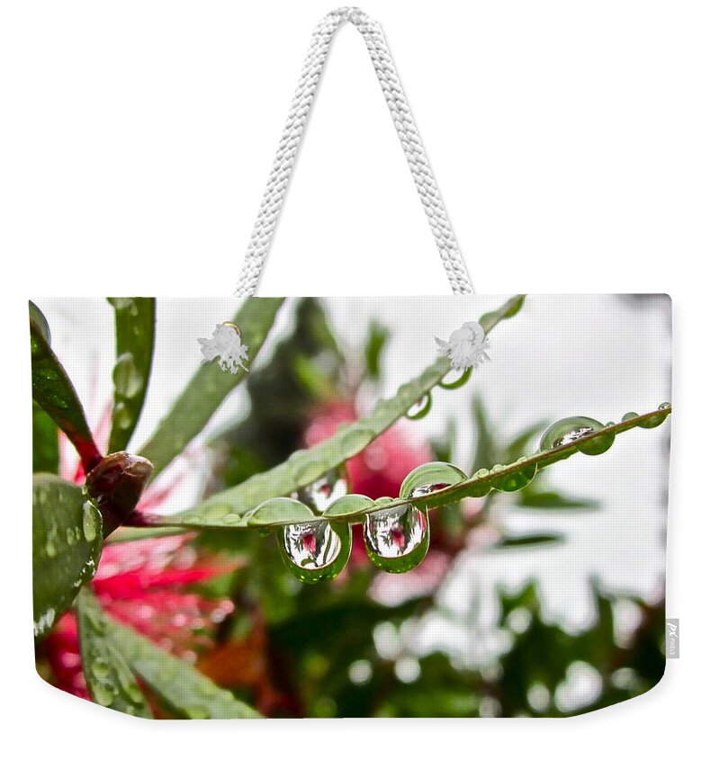 Rain Drop Weekender Tote Bag featuring the photograph Drip and Drop by Gwyn Newcombe