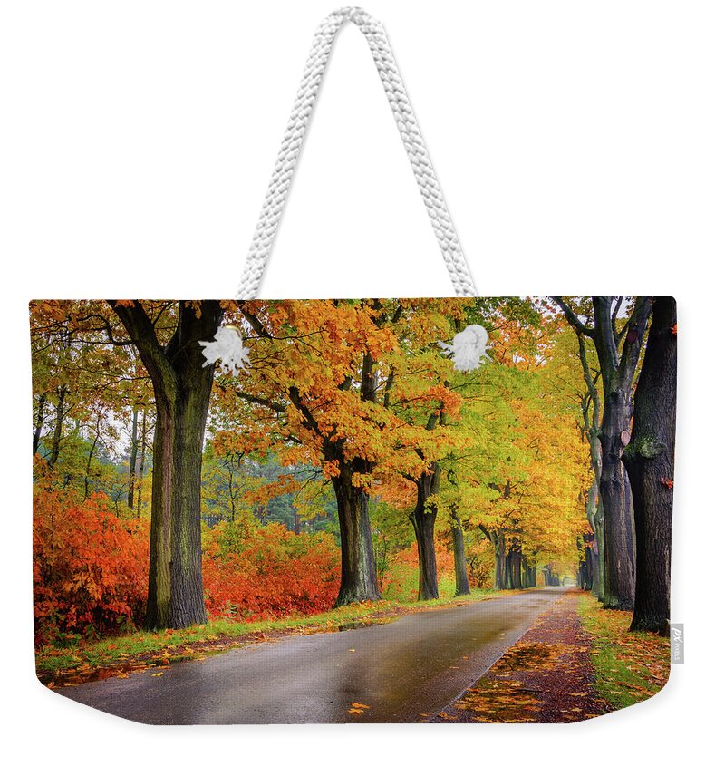 Europe Weekender Tote Bag featuring the photograph Driving on the autumn roads by Dmytro Korol