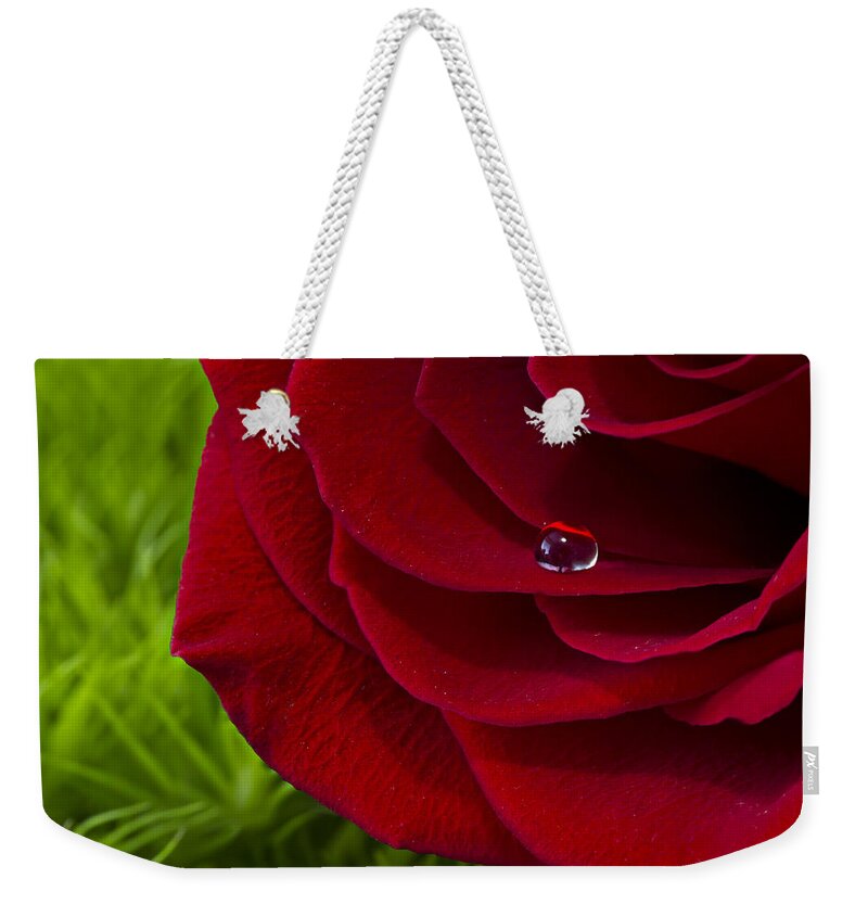 Wall Art Weekender Tote Bag featuring the photograph Drop on a Rose by Marlo Horne