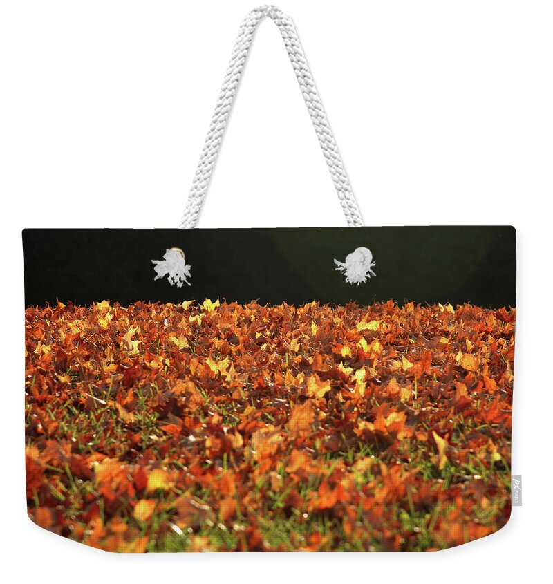 Dry Weekender Tote Bag featuring the photograph Dry maple leaves covering the ground by Emanuel Tanjala