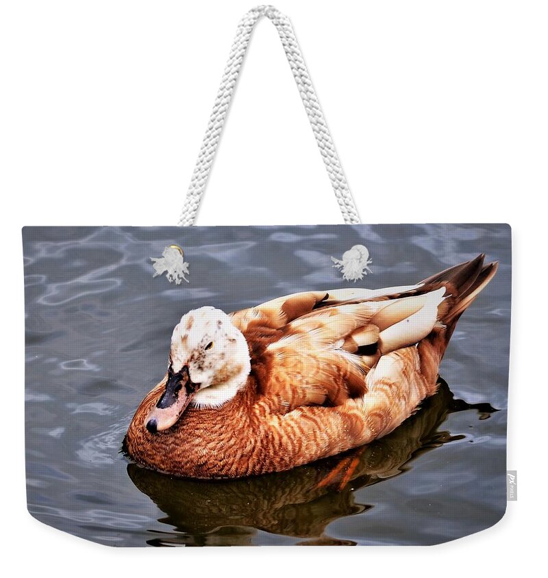 Duck Weekender Tote Bag featuring the photograph Duck by Chuck Brown