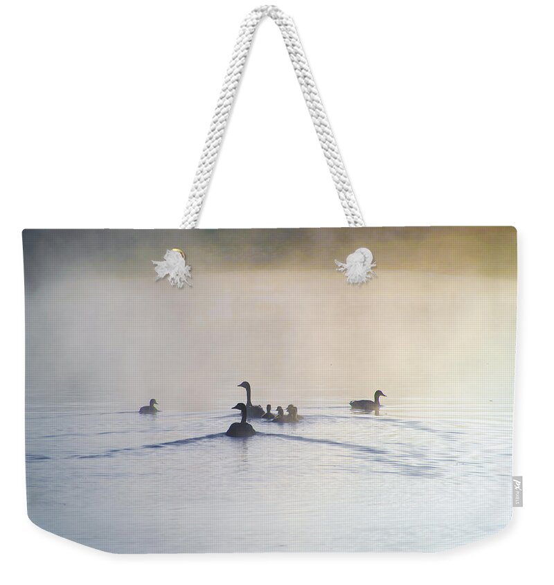 Duck Weekender Tote Bag featuring the photograph Duck Family at Sunrise by Bill Cannon