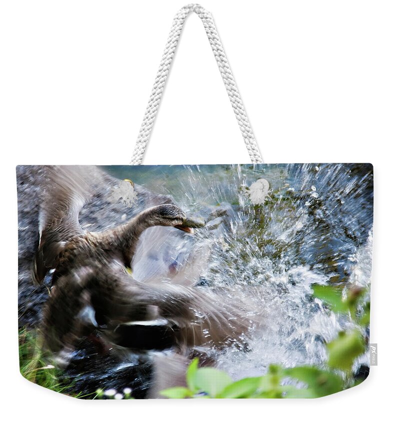 Birds Weekender Tote Bag featuring the photograph Duck fighting by Tatiana Travelways