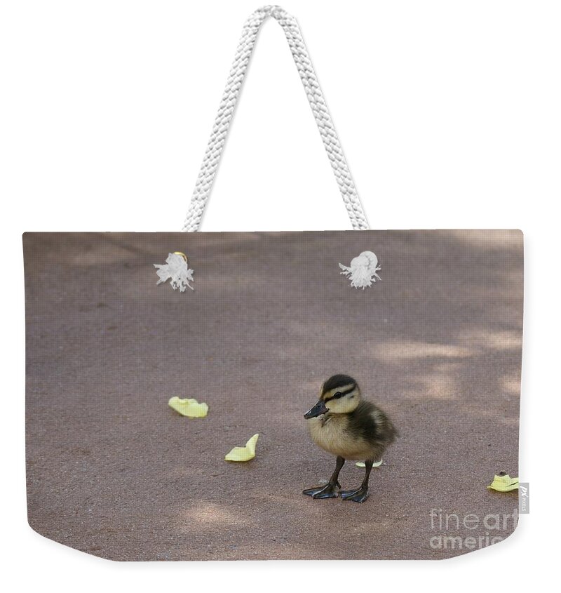 Duck Weekender Tote Bag featuring the photograph Duckling by Susan Cliett